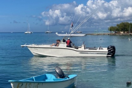 Verhuur Motorboot Ocean Master OCEAN MASTER 33 Bayahíbe