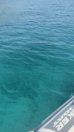 Portisco RIB Kardis Fox alt tag text