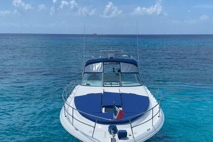 Rental Motor yacht Searay 41 Sundancer Cozumel