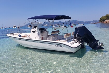 Hire Motorboat Boston Whaler (Refit 2025) 22 Dauntless Mandelieu-La Napoule