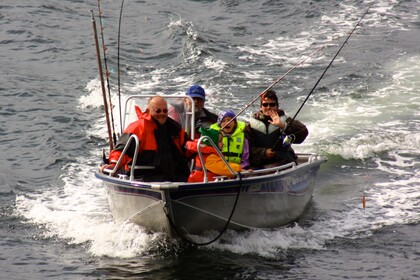 Hyra båt Motorbåt Linder Arkip Lensvik