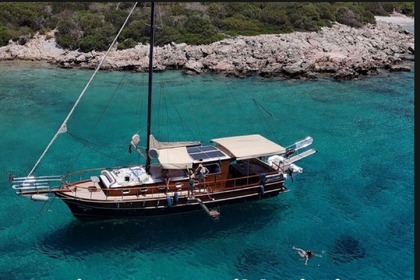 Hyra båt Guletbåt Custom 2016 Bodrum