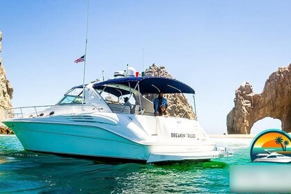 Rental Motorboat Sea Ray 45ft. Day Cruiser Cabo San Lucas