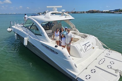 Charter Motorboat Sea Ray Sundacer 50 Cancún