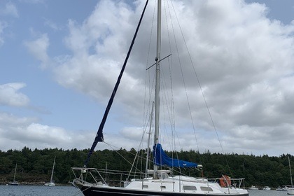 Alquiler Velero Conyplex Contest 29 Sainte-Marine