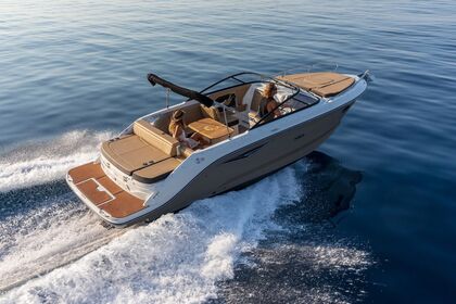 Hire Motorboat SEA RAY Sunsport 250 SSE Bruinisse