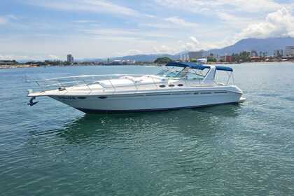 Rental Motorboat Sea Ray 400 Sun Sport Puerto Vallarta