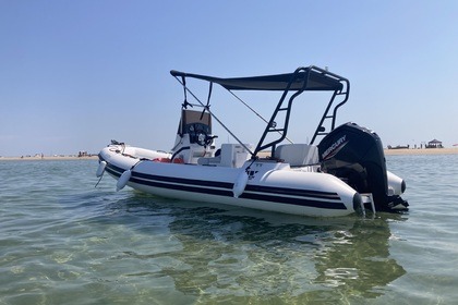 Charter RIB Tiger Marine Proline 550 La Rochelle