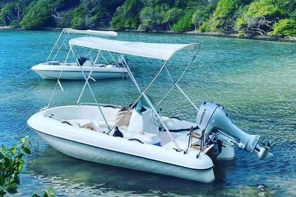 Miete Boot ohne Führerschein  rigiflix cap 370 Toulon