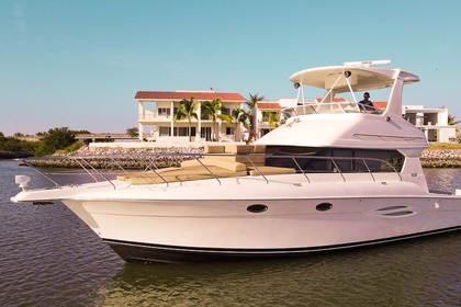 Rental Motorboat Silvertone 440 flybridge Mazatlán