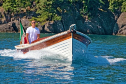 Charter Boat without licence  Mussini Utility Portofino 6.60 Portofino