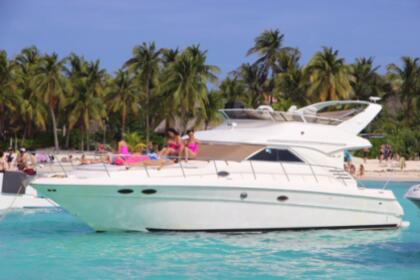 Alquiler Lancha Sea Ray 440 Cancún