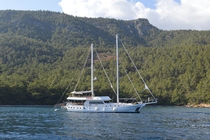 Aluguel Escuna Customized manifacturer Bodrum