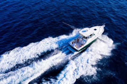 Charter Motorboat Pursuit 3400 "Express" Monaco