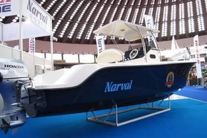 Charter Motorboat Narval 735 Kotor