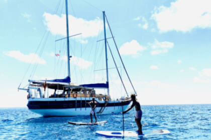 Alquiler Goleta Turkish Gulet Turkish Gulet San Adrián del Besós