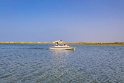 Verhuur Motorboot Sun Concept SunSailor 7.0 Faro