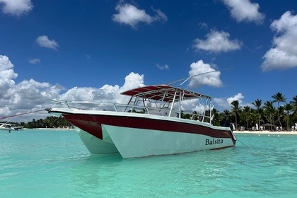 Charter Motorboat power catamaran CATAMARAN 30 Bayahibe