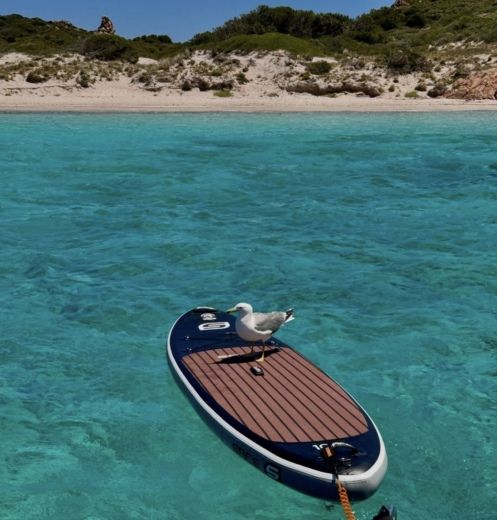 Portisco Motorboat Beneteau Antares 12 metri inclusi a bordo the  water games alt tag text