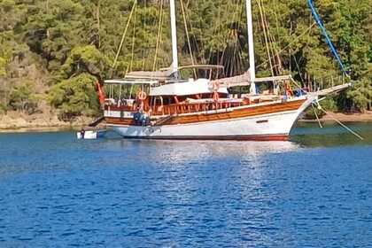 Hire Gulet CUSTOM 2012 Bodrum