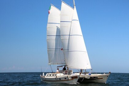 Alquiler Catamarán LWB di Bonirola di Gaggiano Wharram tiki 38 La Spezia
