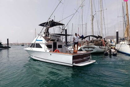 Rental Motorboat Bertram Bertram 28 Fuerteventura