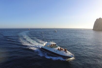 Location Bateau à moteur Sea Ray cruiser Cabo San Lucas