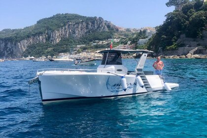 Hire Motorboat Altura Work around Sorrento