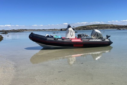 Rental Motorboat Zodiac Pro Open 550 Saint-Coulomb