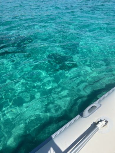 Cannigione Without license Expo Expo 600 alt tag text