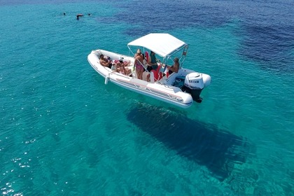 Location Semi-rigide Selva Marine 640 Les Issambres