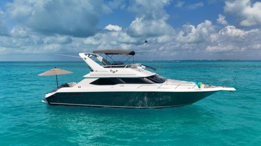 Motorboat Sea Ray Flybridge Boat layout