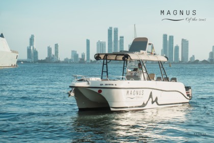 Charter Motorboat YatchCat 2008/2015 Cartagena