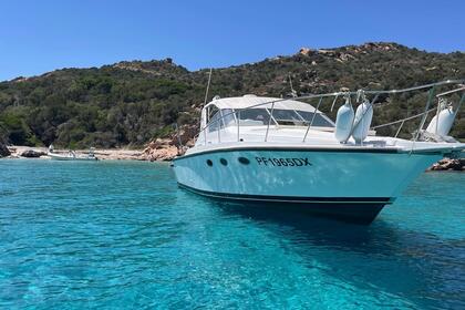 Charter Motorboat Bertram Bertram 33 La Maddalena