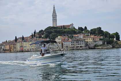 Charter Motorboat Venere Relax 20 Rovinj