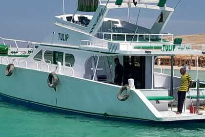 Rental Motorboat Fishing Shipyard Customized Hurghada