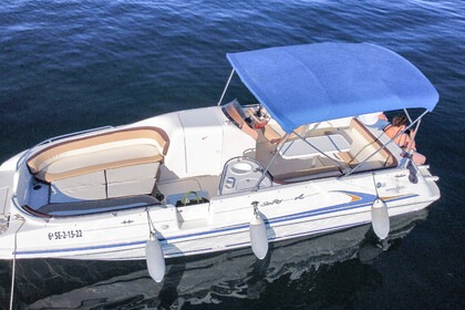 Noleggio Barca a motore Sea Ray 240 Sundeck Marbella