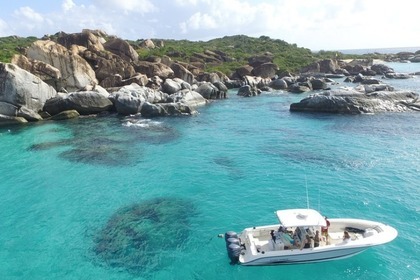 Charter Motorboat Cape Horn 32 center console Charlotte Amalie