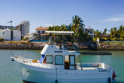 Rental Motorboat Hampton Endurance 38 Mazatlán