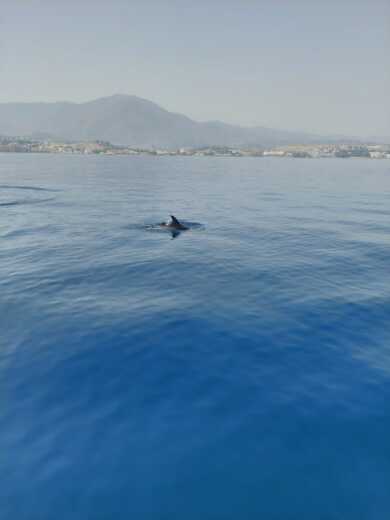 Estepona Catamaran Lagoon Lagoon 380 alt tag text