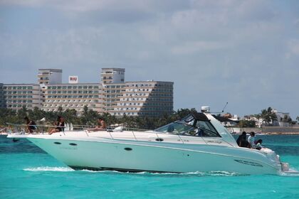 Location Bateau à moteur Sea Ray 460 Cancún