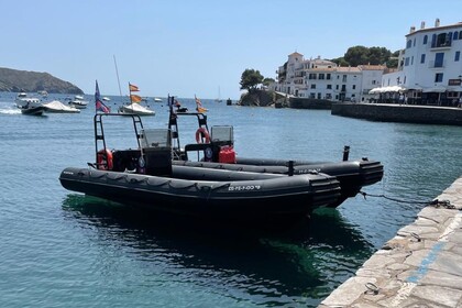 Rental RIB ASTEC PB800 Cadaqués