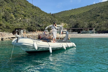 Hire RIB Grginic Shark 23 Perast