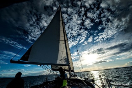 Charter Sailboat BAVARIA 44 Valencia
