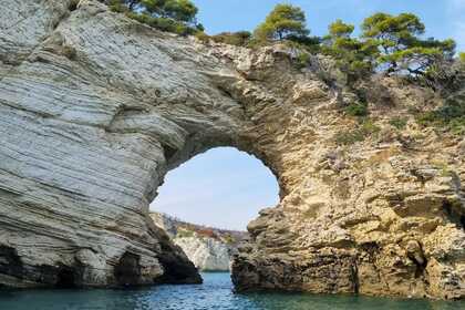 Miete Motorboot Idea Marine Idea58 Vieste