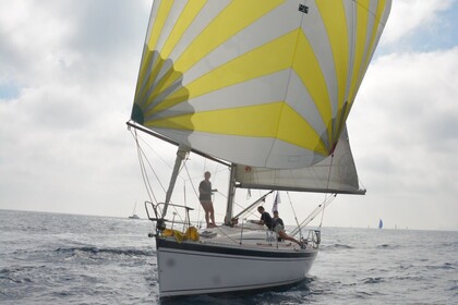Hire Sailboat ELAN elan 333 gte Six-Fours-les-Plages