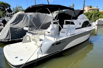 Location Bateau à moteur SK 300 Buenos Aires