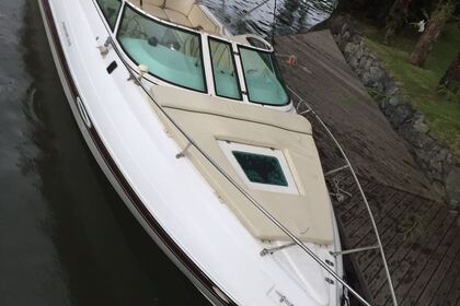 Charter Motorboat Schaefer Phantom 24,5 Cabinada São Paulo
