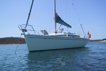 Miete Segelboot  Elan 333 Poole