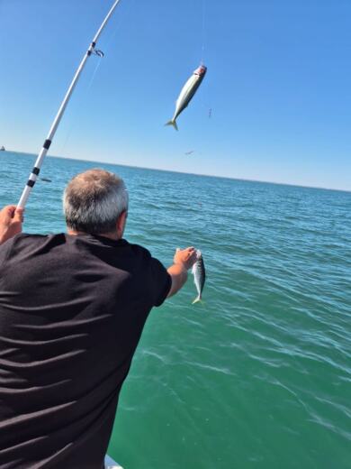 La Rochelle Motorboat Quicksilver 675 PilotHouse alt tag text